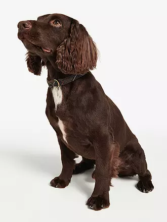 BARBOUR | Hunde Halsband Tartan | olive