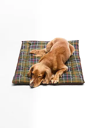 BARBOUR | Hundematte | 