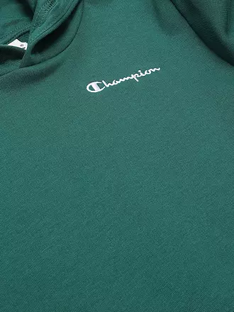 CHAMPION | Jungen Sweater | braun