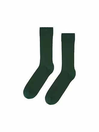 COLORFUL STANDARD | Socken heather grey | grün