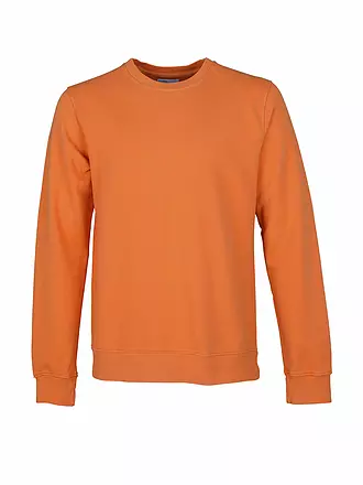 COLORFUL STANDARD | Sweater | orange