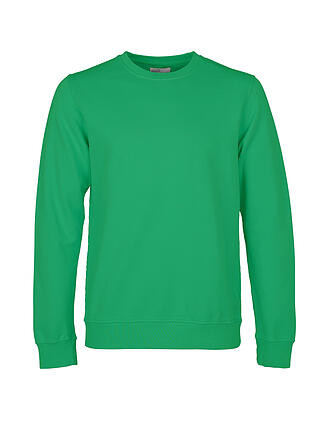 COLORFUL STANDARD | Sweater | grün