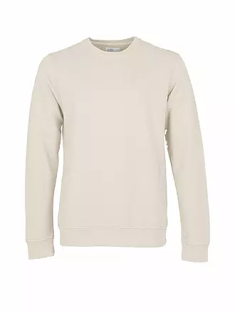 COLORFUL STANDARD | Sweater | beige