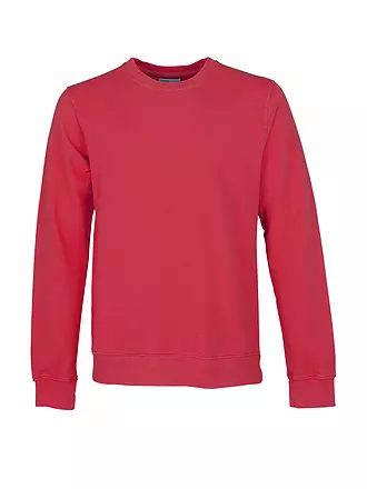 COLORFUL STANDARD | Sweater | rot