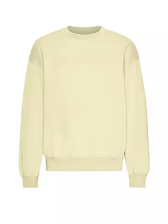 COLORFUL STANDARD | Sweater | gelb
