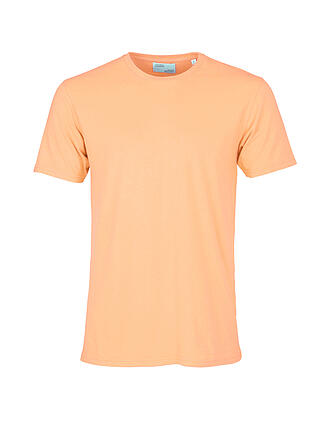 COLORFUL STANDARD | T Shirt | orange