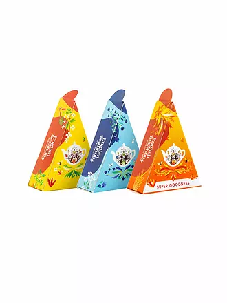 ENGLISH TEA SHOP | Geschenkbox Wellness Tee Kollektion 12 Pyjramiden Beutel | bunt