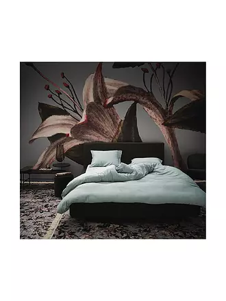 ESSENZA | Satin-Bettwäsche 70x90cm/140x200cm Dusty Green | orange