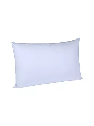 FLEURESSE | Satin Kissenbezug Royal Uni 2er 40x80cm Beige | hellblau