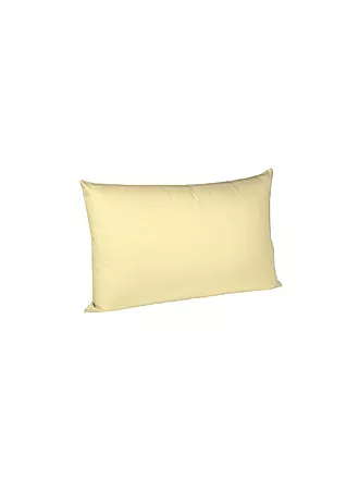 FLEURESSE | Satin Kissenbezug Royal Uni 2x 40x60cm Beige | gelb