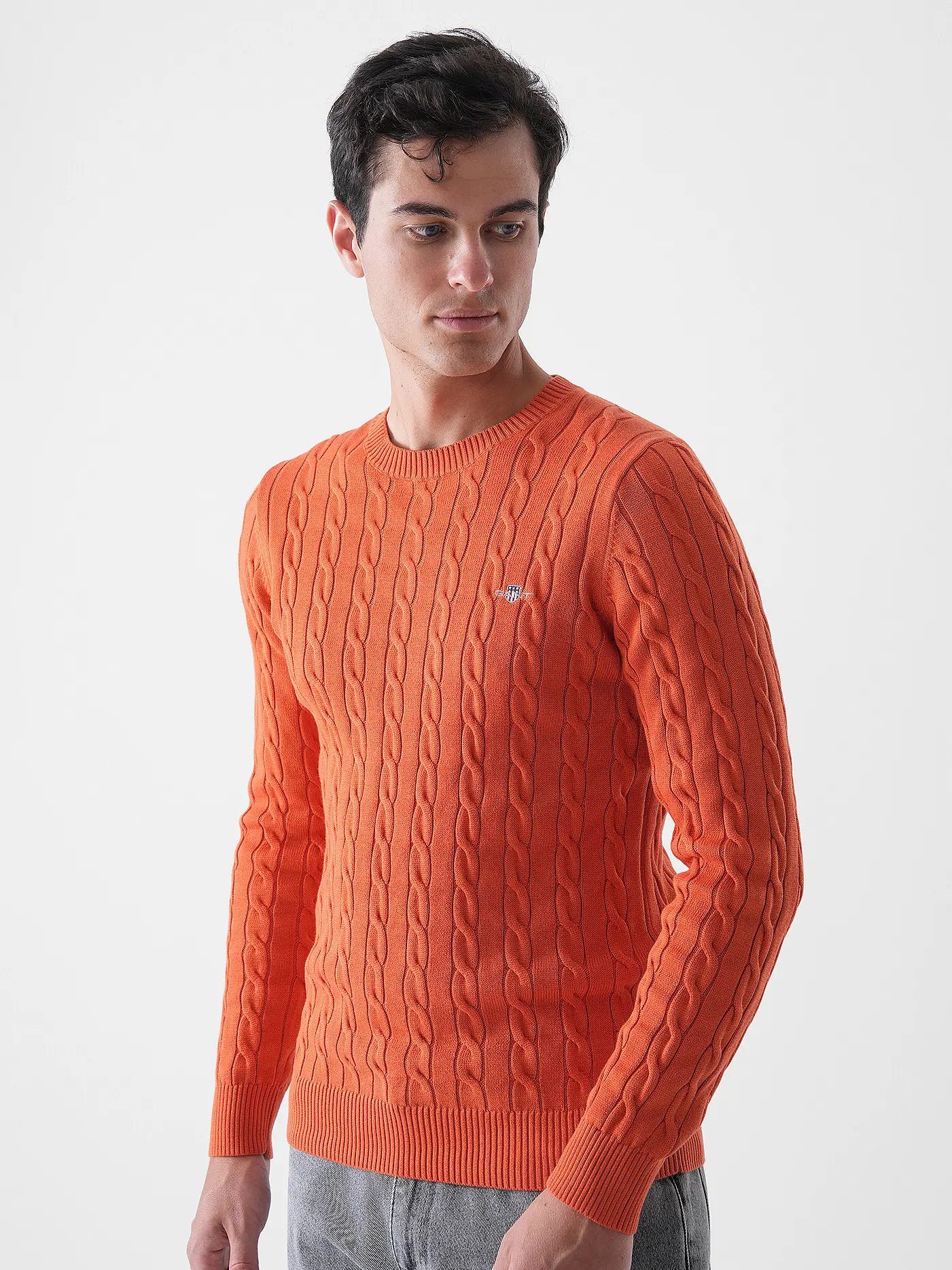 GANT | Pullover | 