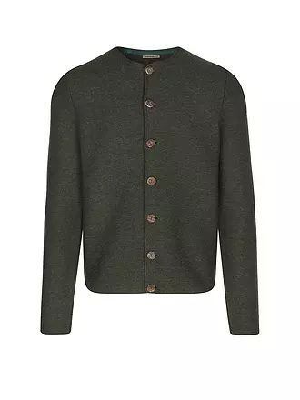 GOTTSEIDANK | Trachtenstrickjacke ALOISIUS | grün