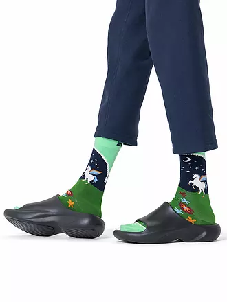 HAPPY SOCKS | Damen Socken PEGASUS LAND 36-40 light green | grün