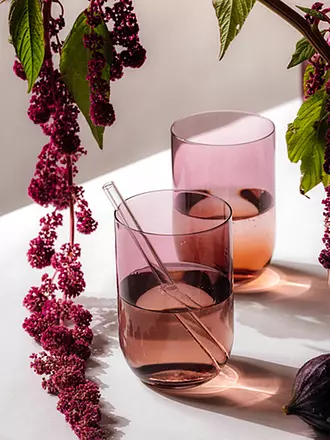 LIKE BY VILLEROY & BOCH | Longdrinkglas 2er Set LIKE 385ml Clay | beere
