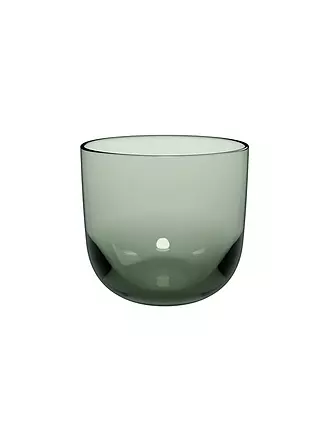 LIKE BY VILLEROY & BOCH | Wasserglas 2er Set LIKE GLASS 280ml Clay | grün