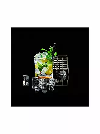 LURCH | Eiswürfelform ICE FORMER Würfel 2x2cm | schwarz