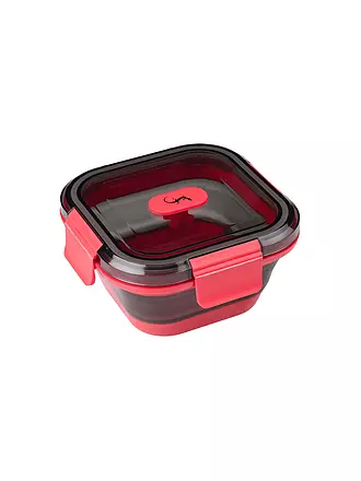 LURCH | Frischhaltebox 0,5l Frozen-Pink | hellblau