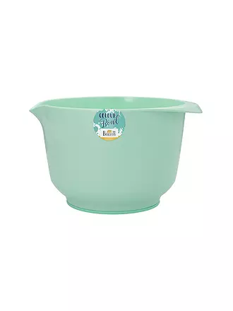 RBV BIRKMANN | Rühr- & Servierschüssel 3L Colour Bowl Grau | mint