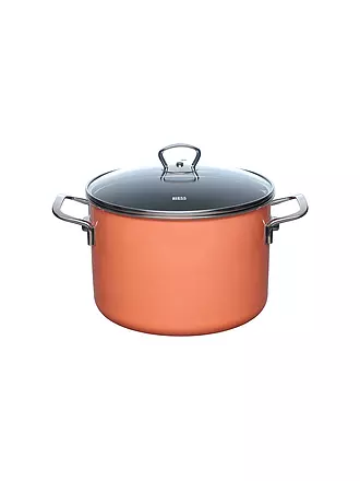 RIESS | Fleischtopf 24cm/6,5l NOUVELLE PUR Mango | koralle