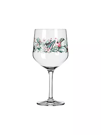RITZENHOFF | Gin Glas 2-er Set SCHATTENFAUNA #5 #6 | bunt