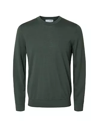 SELECTED | Pullover SLHTRAY | grün