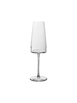 VILLEROY & BOCH SIGNATURE | Sektglas 2er METROCHIC 450 ml | transparent