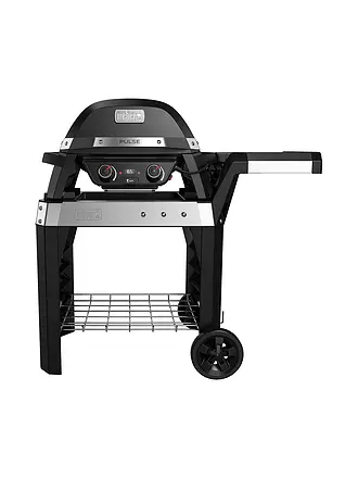 WEBER GRILL | E-Grill 