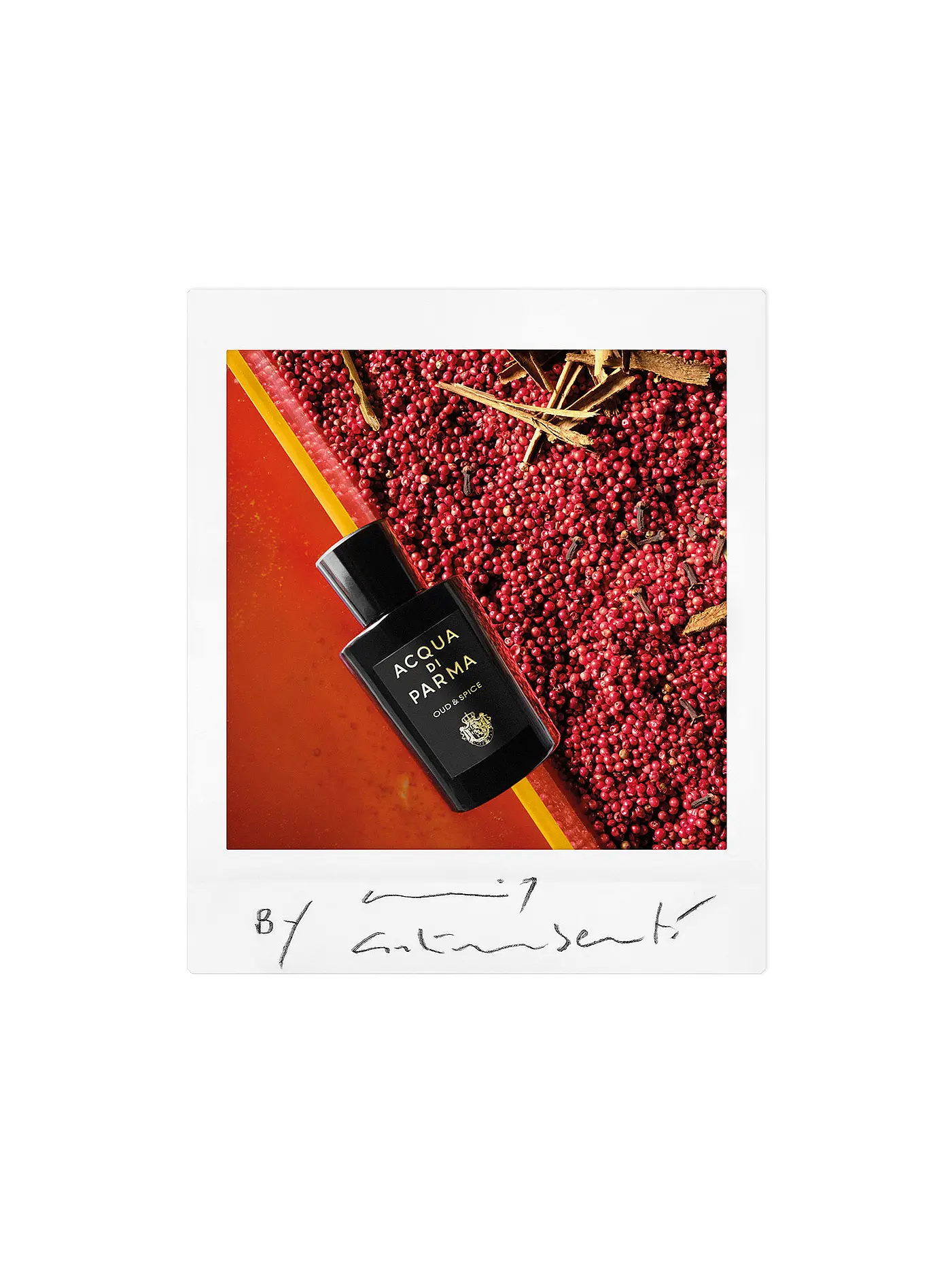 ACQUA DI PARMA | Signatures of the Sun Oud&Spice Eau de Parfum 100ml | keine Farbe