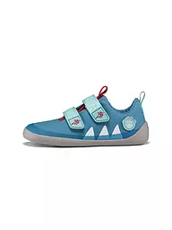 AFFENZAHN | Kinder Sneaker Barfußschuh  COTTON LUCKY Frosch | hellblau