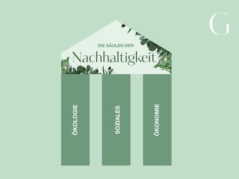 Eine Grafik, die die drei Säulen der Nachhaltigkeit veranschaulicht: Ökologie, Soziales und Ökonomie. Die Säulen bilden die Struktur eines Hauses mit Grün an der Spitze, auf einem hellgrünen Hintergrund.