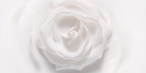Eine zarte weiße Rose, eingetaucht in eine glatte, cremige Flüssigkeit mit sanften Wirbeln, die einen weichen und eleganten visuellen Effekt erzeugen.
