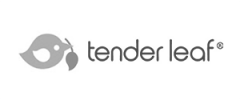 TENDER LEAF TOYS