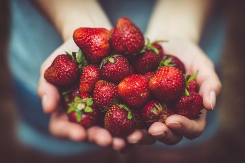 Hände halten einen Stapel frischer, reifer Erdbeeren. Die Beeren sind leuchtend rot mit kleinen grünen Blättern und die Nahaufnahme hebt ihre saftige Textur hervor. Der Hintergrund ist leicht verschwommen und lenkt die Aufmerksamkeit auf die Frucht.