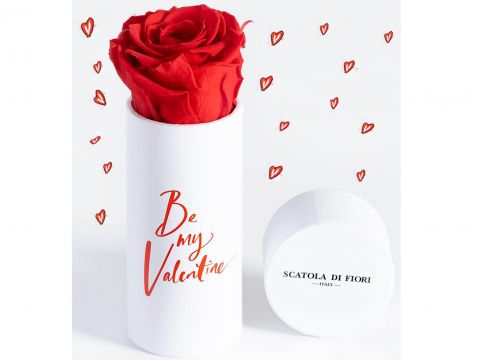 Eine leuchtend rote Rose in einer weißen zylindrischen Schachtel mit dem Text „Sei mein Valentinsschatz“ in eleganter Schrift. Der Deckel ist daneben platziert und trägt die Aufschrift „Scatola di Fiori, Italien“. Rote Herzkritzeleien umgeben das Arrangement.