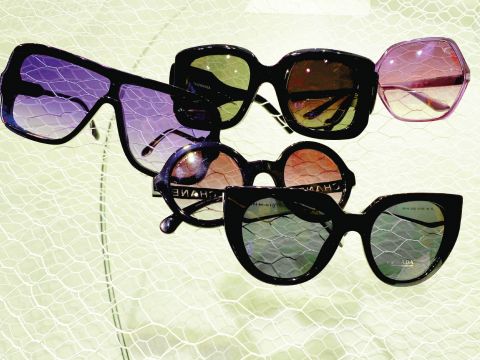 Eine Kollektion von fünf stylischen Sonnenbrillen auf einem strukturierten, hellgrünen Hintergrund. Die Sonnenbrillen haben verschiedene Formen, darunter runde, quadratische und Cateye-Rahmen in verschiedenen Farben.