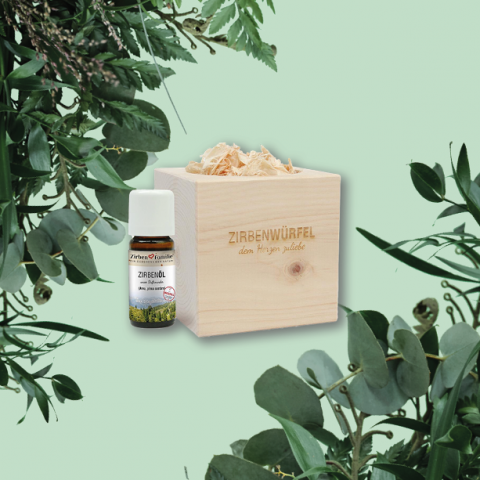 Eine Flasche ätherisches Zirbenöl steht neben einer hölzernen Zirbenwürfel-Box mit Holzspänen darauf. Die Gegenstände sind von Grünpflanzen umgeben und stehen vor einem hellgrünen Hintergrund.