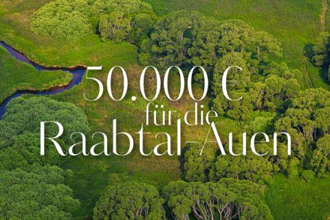 Eine Luftaufnahme einer üppig grünen Landschaft mit dichten Bäumen und einem gewundenen Fluss. Der darüber gelegte Text lautet in eleganter weißer Schrift „50.000 € für die Raabtal-Auen“.