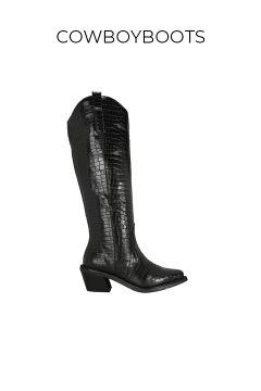 Damen-Let’s-celebrate-Cowboyboots-LPB-480×720