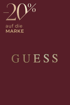 Weihnachtsspecial-Guess-480×720