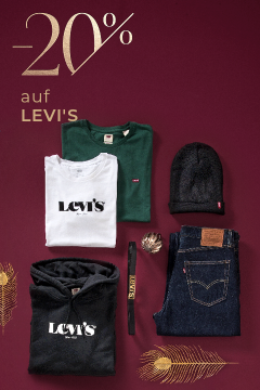 Weihnachtsspecial-Levis-480×720