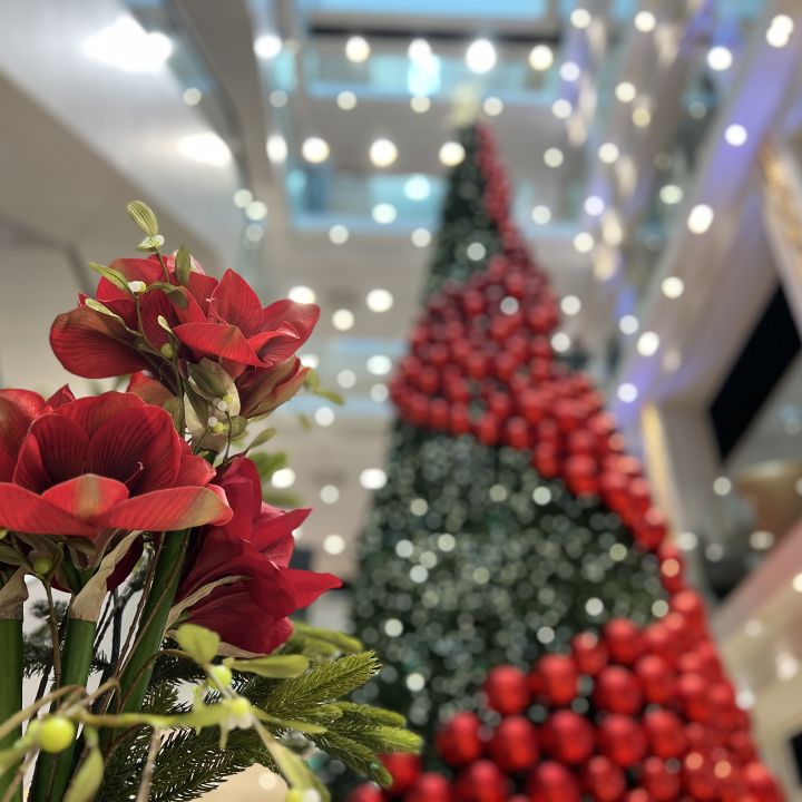 Rote Blumen im Vordergrund, im Hintergrund ein großer Weihnachtsbaum mit roten Ornamenten. Die Szene ist im Innenbereich mit hellen Deckenleuchten.