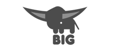 BIG