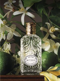 Ein dekorativer Parfümflakon mit der Aufschrift „ETRO Nectar“ steht inmitten von weißen Blumen, grünen Limetten und üppigem Laub auf einer Holzunterlage.