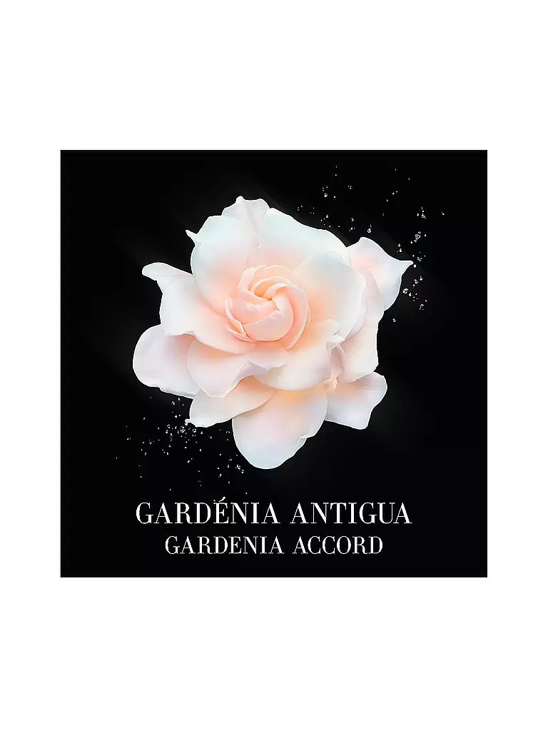 ARMANI/PRIVÉ | Gardénia Antigua Eau de Toilette 100ml | keine Farbe