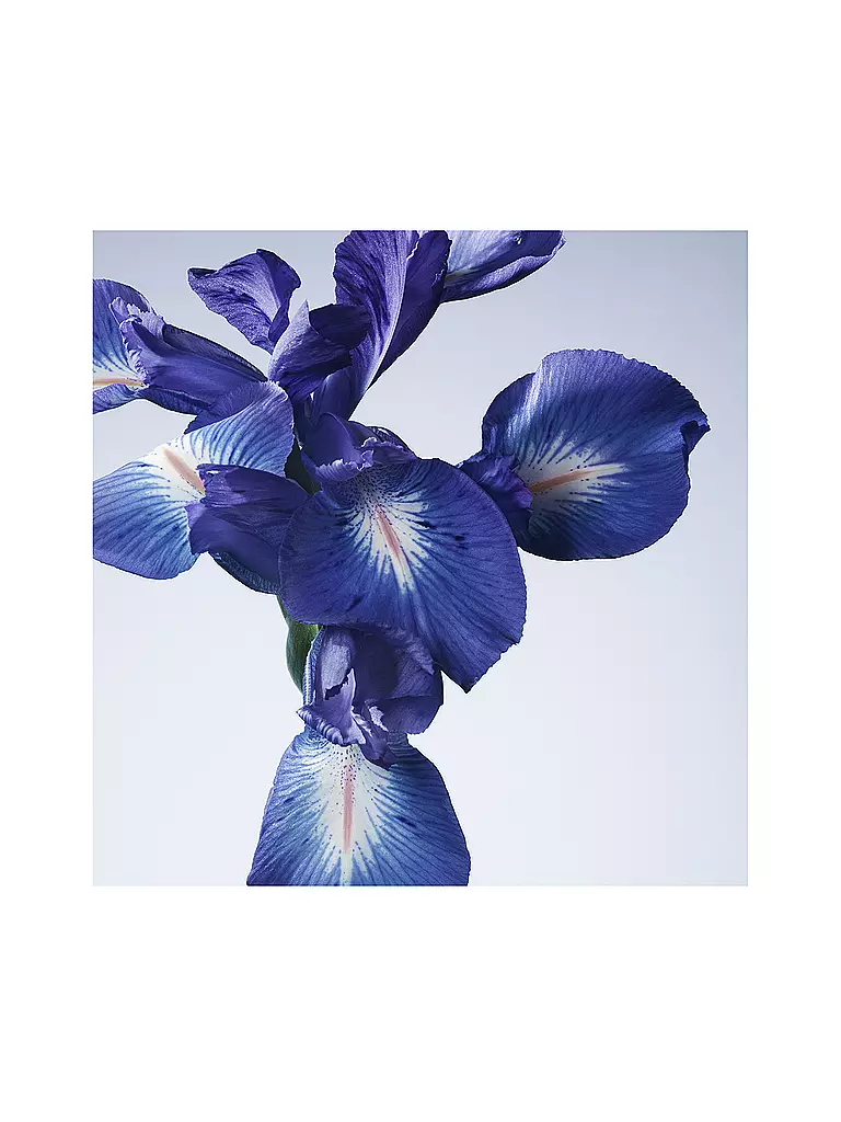 ARMANI/PRIVÉ | Iris Bleu Eau de Toilette 100ml | keine Farbe