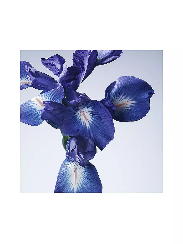ARMANI/PRIVÉ | Iris Bleu Eau de Toilette 50ml | keine Farbe