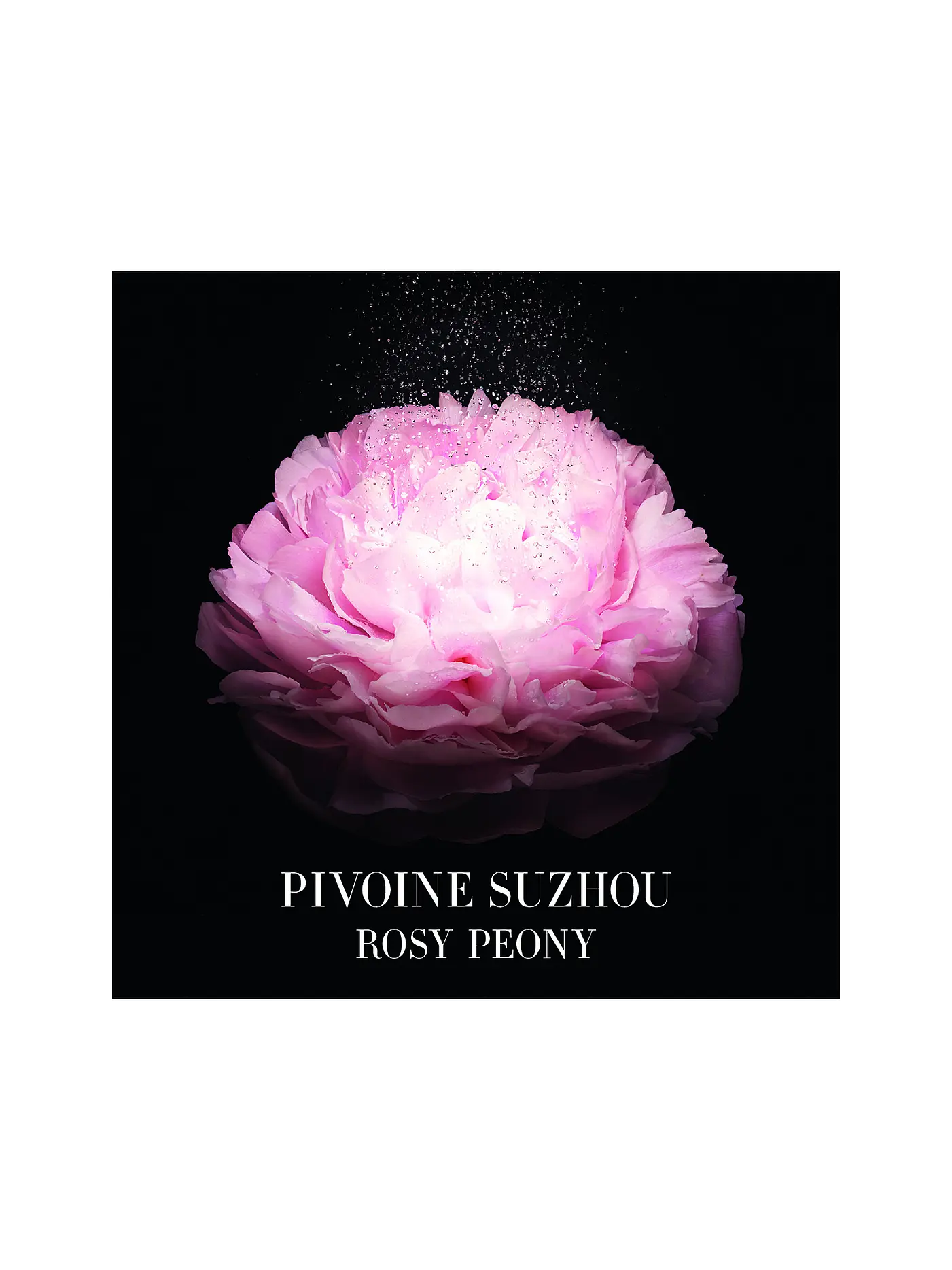 ARMANI/PRIVÉ | Pivoine Suzhou Eau de Toilette 100ml | keine Farbe