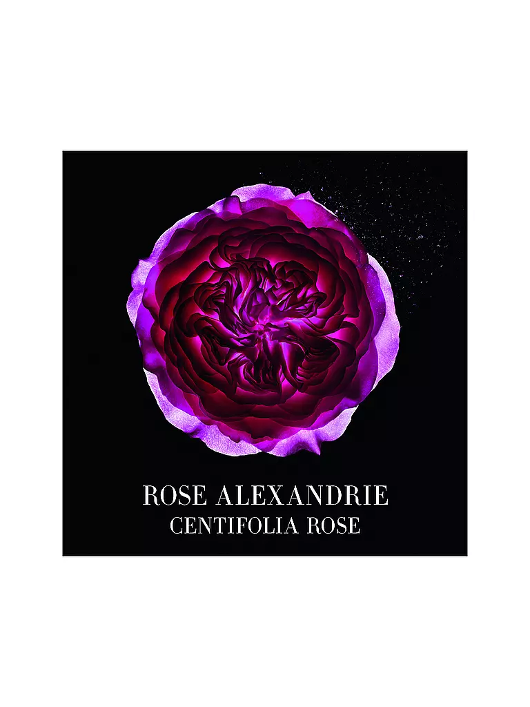 ARMANI/PRIVÉ | Rose Alexandrie Eau de Toilette 100ml | keine Farbe