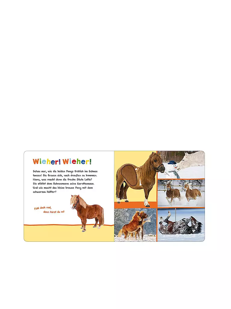 Hör Mal Rein Wer Kann Das Sein Idealo ARS EDITION VERLAG Buch - Hör mal rein, wer kann das sein? - Kleine