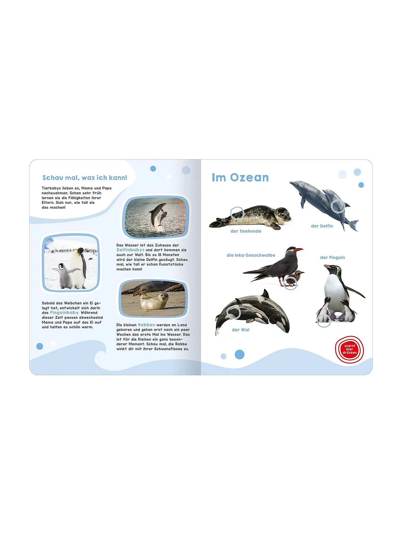 ARS EDITION VERLAG | Mein großes Geräuschebuch - Tierbabys | keine Farbe